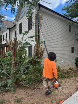 Image for Pro Service Tree Service LLC with ID of: 6706303