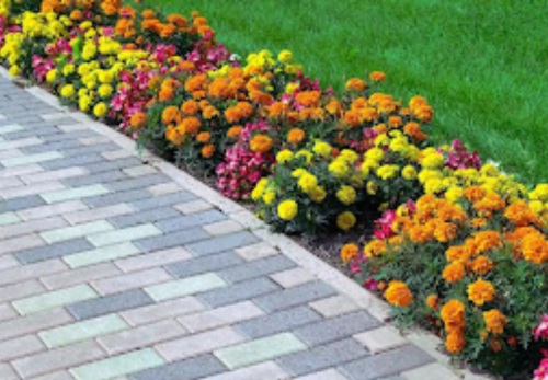 Image for Green Machine Landscaping and Maintenance with ID of: 6706562