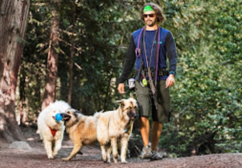 Image for NuDog with ID of: 6706580