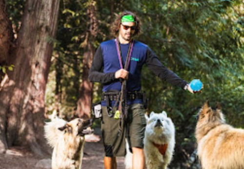 Image for NuDog with ID of: 6706581