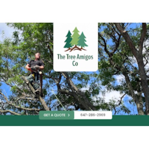 Image for The Tree Amigos Co with ID of: 6706659