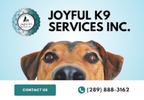 Image for Joyful K9 Services Inc. with ID of: 6706699