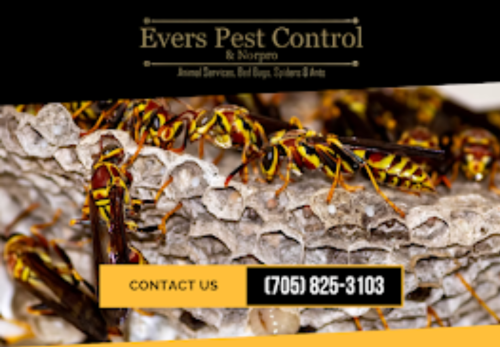 Image for Evers Pest Control with ID of: 6707513