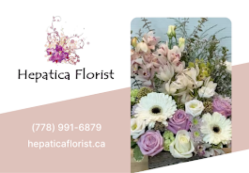 Image for Hepatica Florist with ID of: 6708801