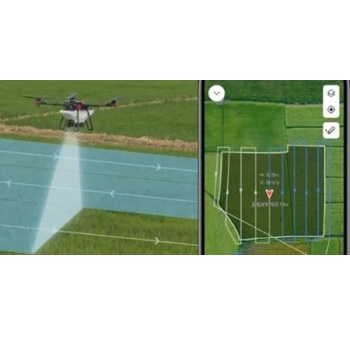 Image for BP Ag Services with ID of: 6708938