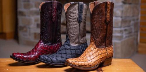 Image for Pinto Ranch with ID of: 6710195