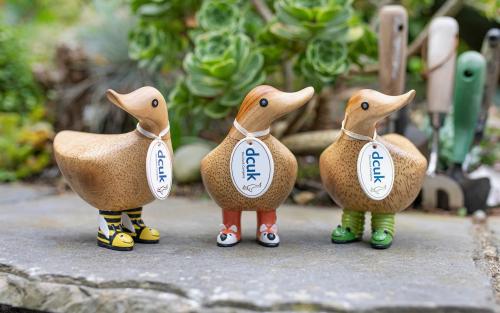 Image for Ducks-N-Stuff with ID of: 6712374