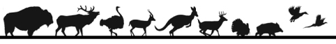 Image for Beef Jerky Experience with ID of: 6712498
