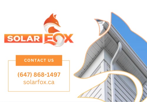 Image for Solar Fox with ID of: 6714872