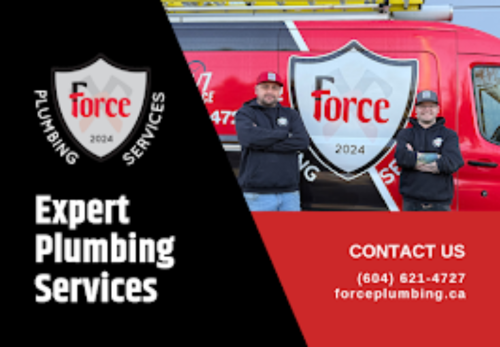 Image for Force Plumbing Services with ID of: 6715835