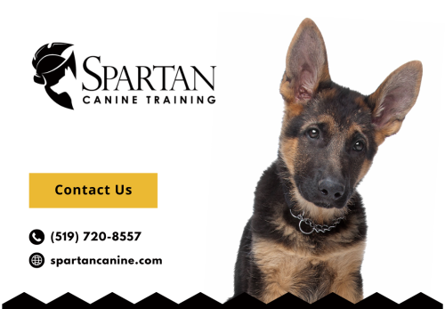 Image for Spartan Canine Training with ID of: 6715991