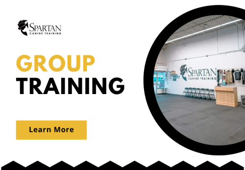 Image for Spartan Canine Training with ID of: 6715994