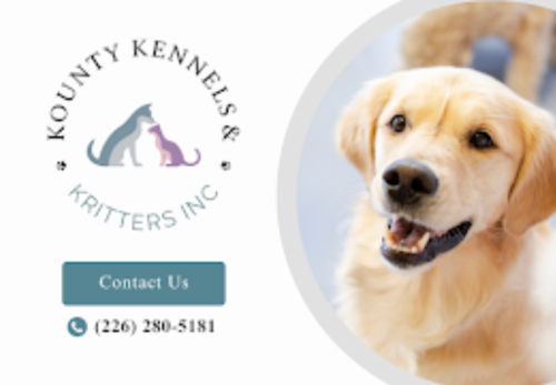 Image for Kounty Kennels & Kritters Inc. with ID of: 6716223