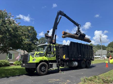 Image for J. Macaluso Tree Service with ID of: 6717700