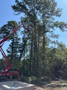 Image for J. Macaluso Tree Service with ID of: 6717721