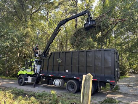 Image for J. Macaluso Tree Service with ID of: 6717722