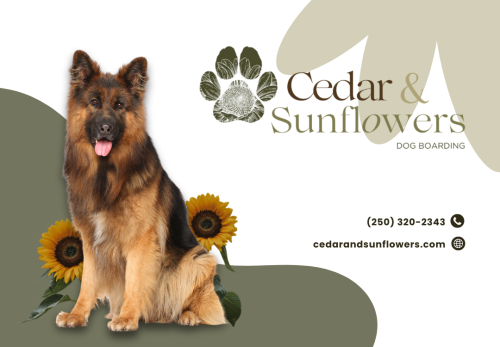 Image for Cedar & Sunflowers Dog Boarding with ID of: 6717952
