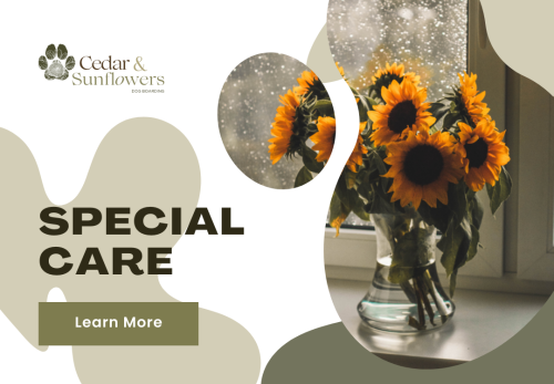 Image for Cedar & Sunflowers Dog Boarding with ID of: 6717958