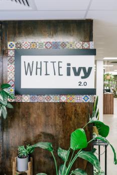 Image for White Ivy 2.0 with ID of: 6719314