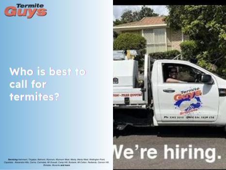 Image for Termite Guys Brisbane with ID of: 6719524