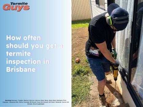 Image for Termite Guys Brisbane with ID of: 6719526