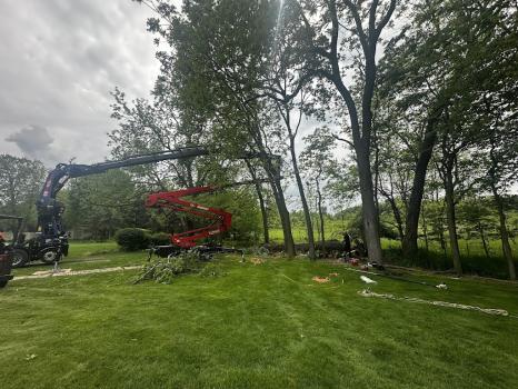 Image for Above & Beyond Tree and Shrubbery Service with ID of: 6720918