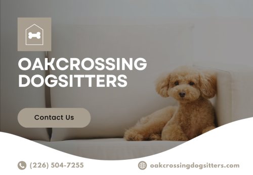 Image for Oakcrossing Dogsitters with ID of: 6721083