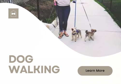 Image for Oakcrossing Dogsitters with ID of: 6721084