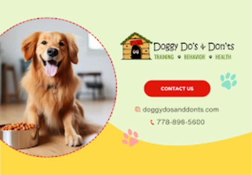 Image for Doggy Do's & Don'ts with ID of: 6721164