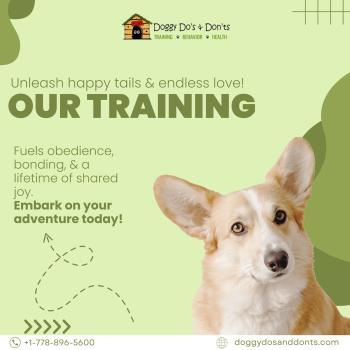 Image for Doggy Do's & Don'ts with ID of: 6721165