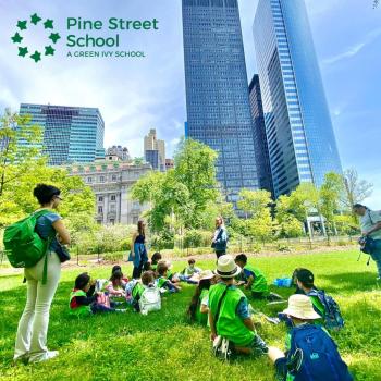 Image for Pine Street School with ID of: 6721182