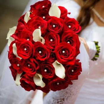Image for Enchanted Petals with ID of: 6723249