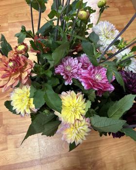 Image for Enchanted Petals with ID of: 6723254