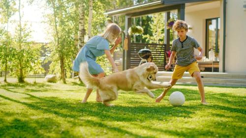 Image for Lawn Control Center with ID of: 6725232