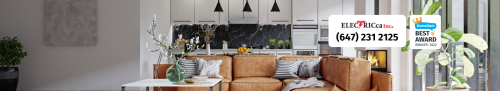 Image for ELECTRICca Inc. with ID of: 6725310