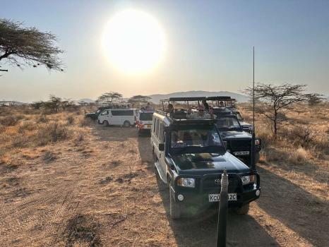 Image for Eli Trips LLC with ID of: 6725865