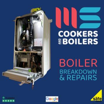 Image for MS Cookers and Boilers with ID of: 6726223
