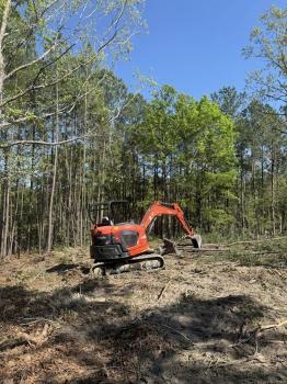 Image for Cornerstone Excavation Group with ID of: 6726861