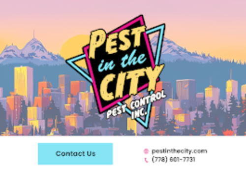 Image for Pest In The City with ID of: 6727621