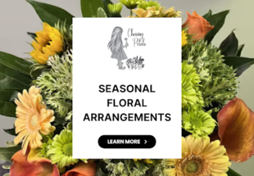 Image for Chasing Petals - Richmond Hill Florist with ID of: 6727773