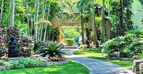 Image for Fairchild Tropical Botanic Garden with ID of: 6728119