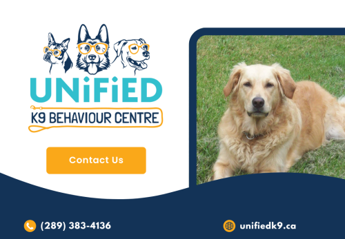 Image for Unified K9 Behaviour Centre Inc. with ID of: 6728166