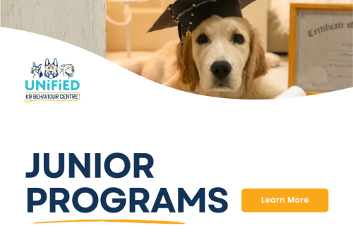 Image for Unified K9 Behaviour Centre Inc. with ID of: 6728168