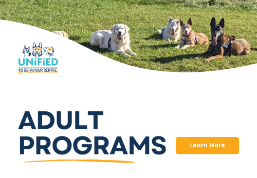 Image for Unified K9 Behaviour Centre Inc. with ID of: 6728170