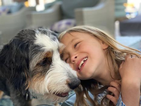 Image for Walnut Valley Puppies with ID of: 6728424