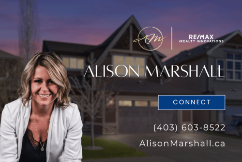 Image for Alison Marshall ~ ReMax Realtor with ID of: 6728540