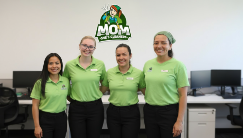 Image for MomShe's Cleaners LLC with ID of: 6729485