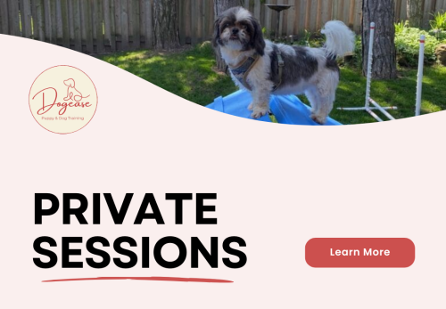 Image for Dogease Puppy & Dog Training with ID of: 6729883