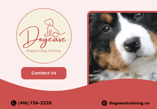 Image for Dogease Puppy & Dog Training with ID of: 6729884