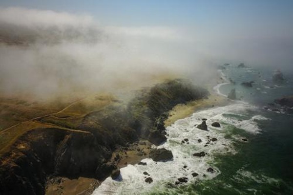 Image for Sonoma Accounting Group with ID of: 6730425